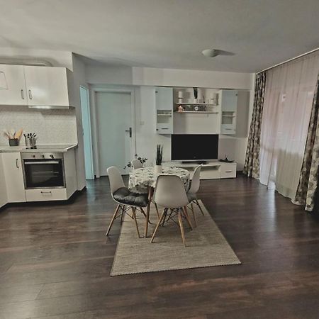 Studio Fortuna Park Сфынту-Георге Экстерьер фото