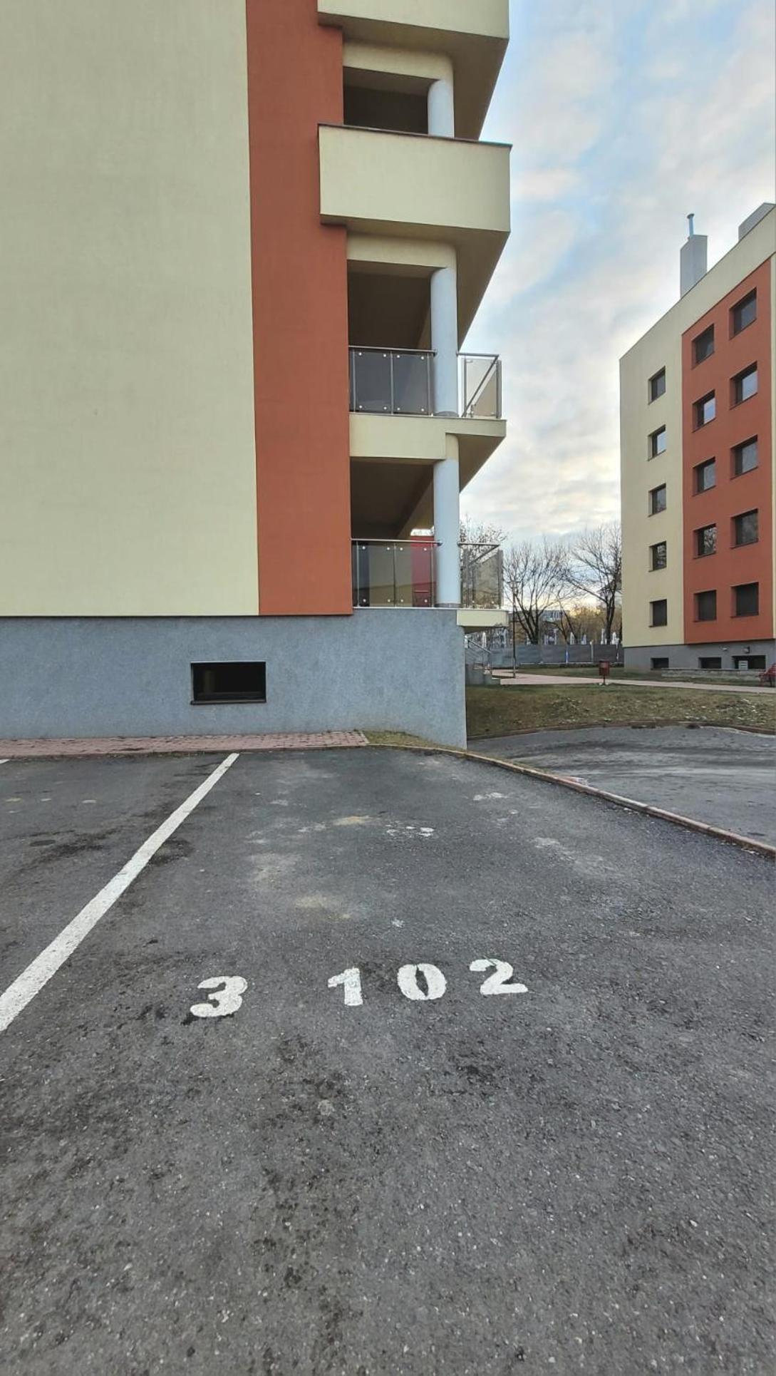 Studio Fortuna Park Сфынту-Георге Экстерьер фото