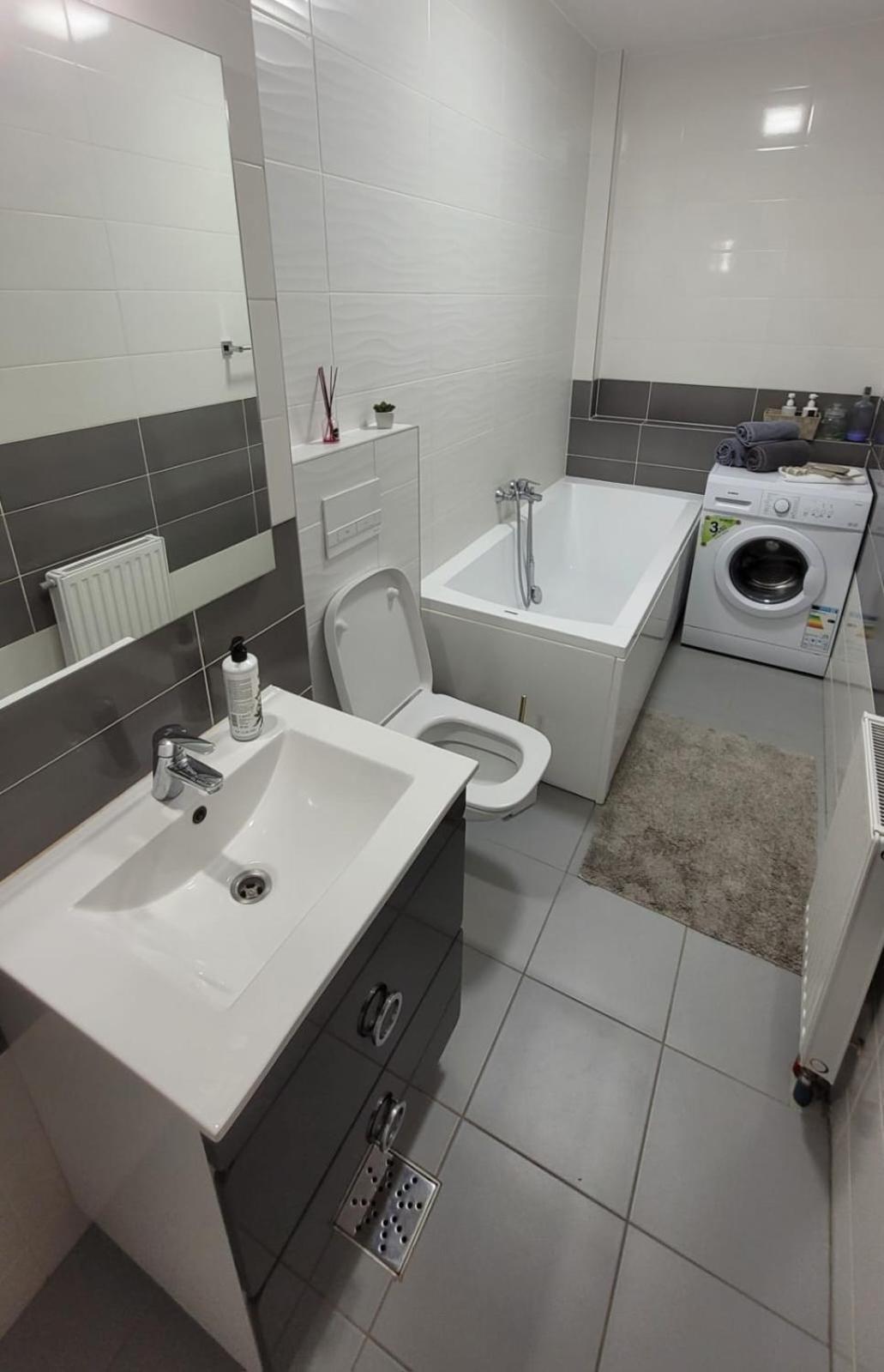 Studio Fortuna Park Сфынту-Георге Экстерьер фото